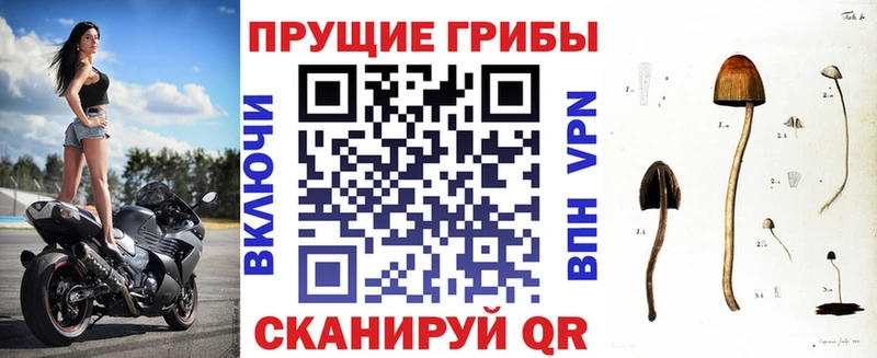 Галлюциногенные грибы MAGIC MUSHROOMS  Купить  Ейск 